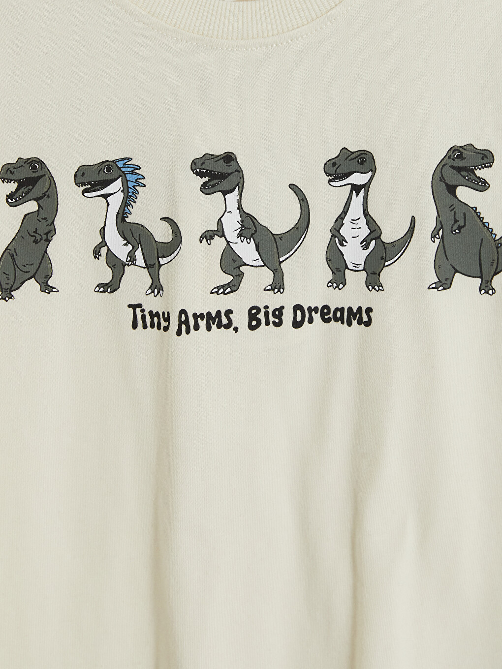 Bej Dinozor Baskılı Erkek Çocuk Tişört-1