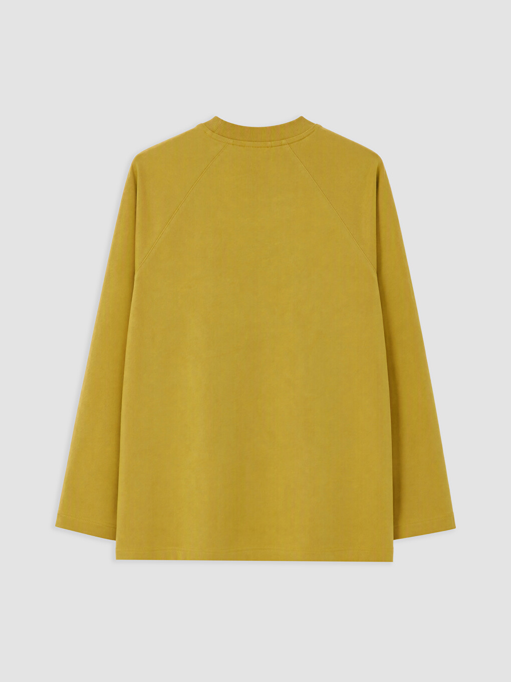 Yeşil Bisiklet Yaka Kadın Sweatshirt Tunik-1