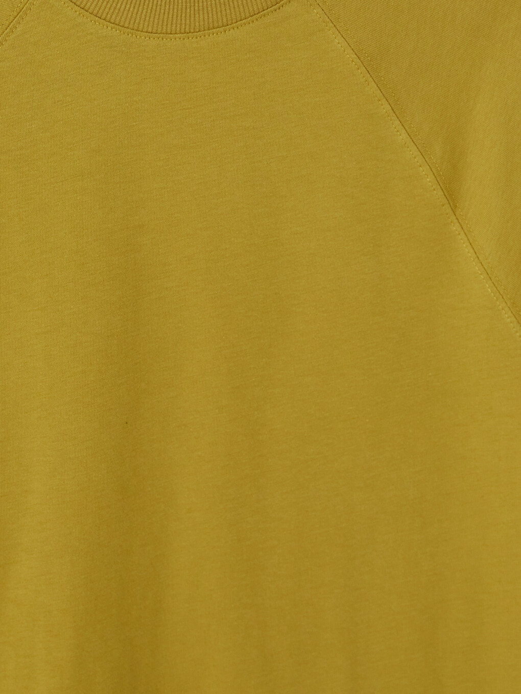 Yeşil Bisiklet Yaka Kadın Sweatshirt Tunik-2