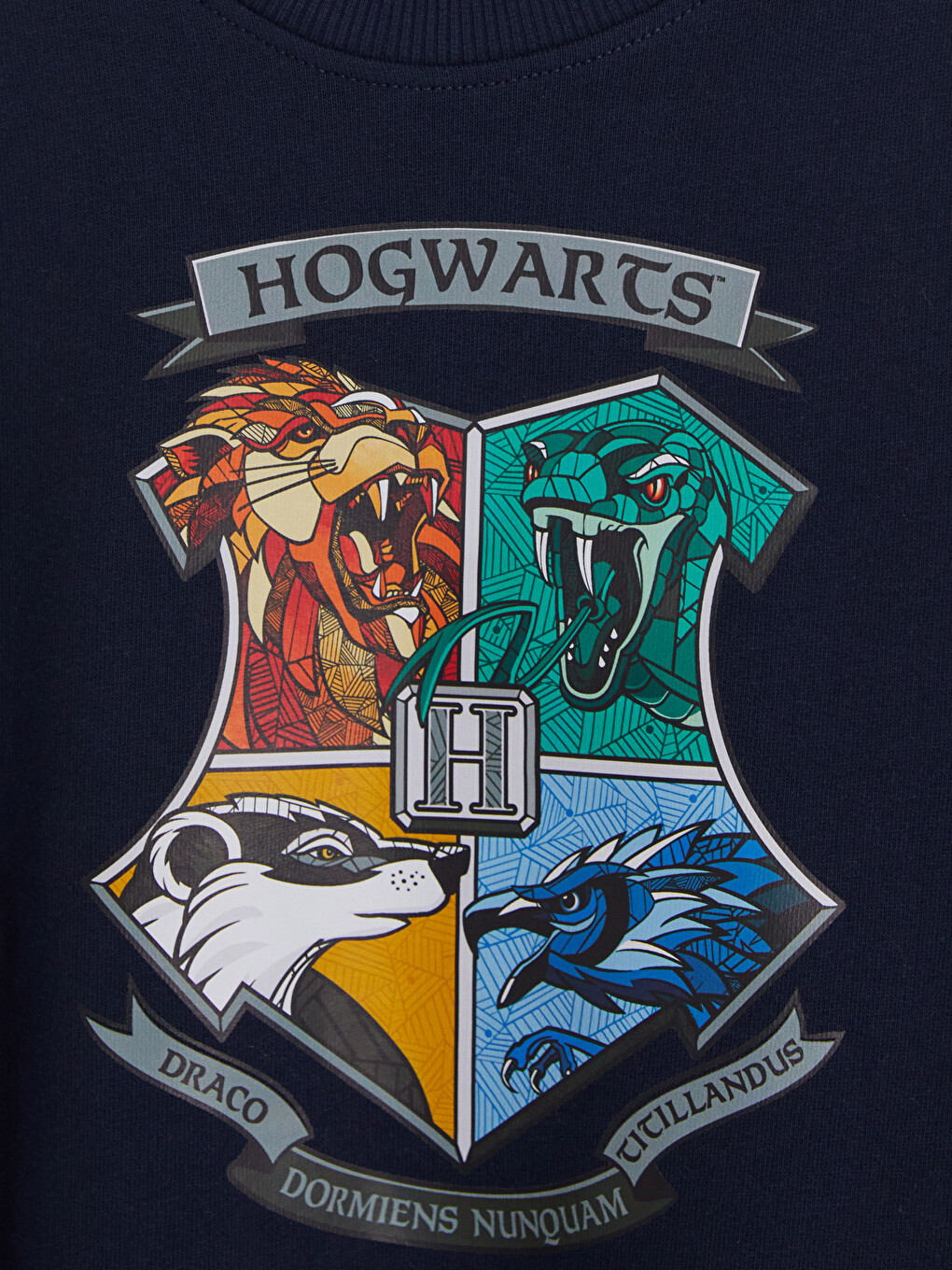 Harry Potter Printed Boys' Sweatshirt-2