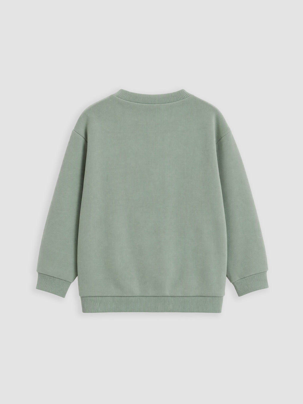 Yeşil Bisiklet Yaka Erkek Bebek Sweatshirt-1