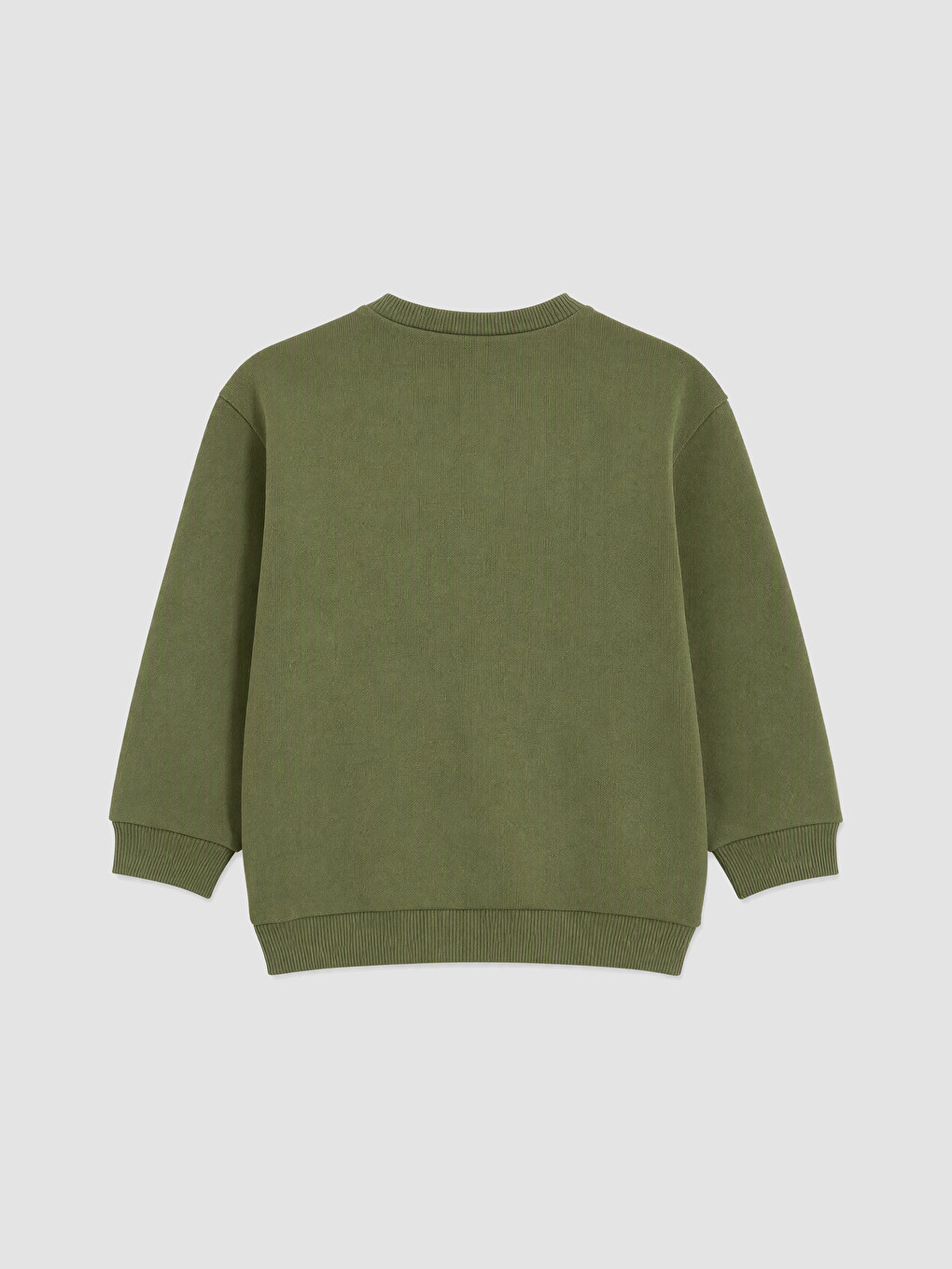 Baby Boy Khaki Sweatshirt-9