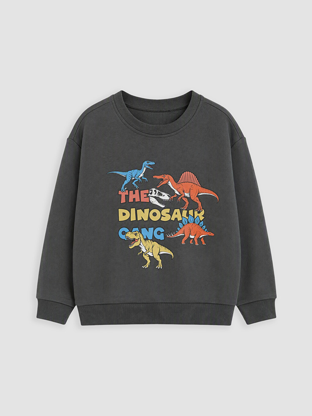 Gri Dinozor Baskılı Erkek Çocuk Eşofman Takım-1