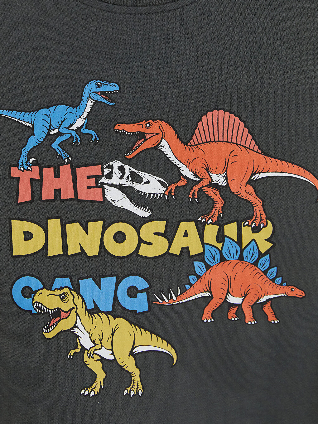 Gri Dinozor Baskılı Erkek Çocuk Eşofman Takım-2