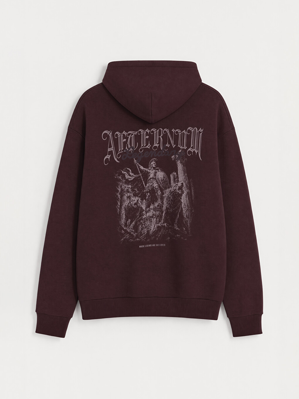 Mürdüm Baskılı Erkek Hoodie-4