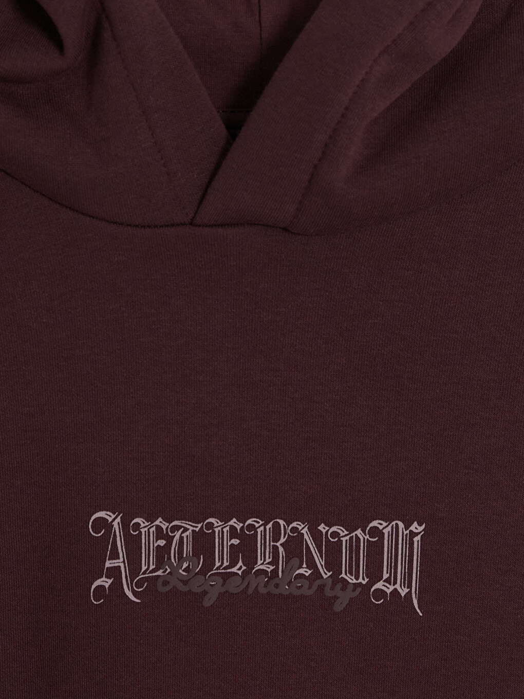 Mürdüm Baskılı Erkek Hoodie-5