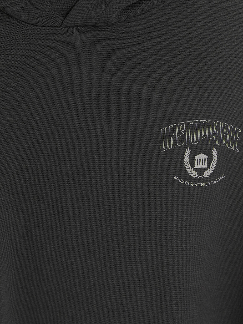 Antrasit Baskılı Erkek Hoodie-5