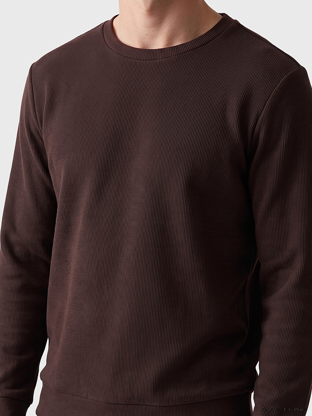 Kahverengi Bisiklet Yaka Erkek Sweatshirt-2