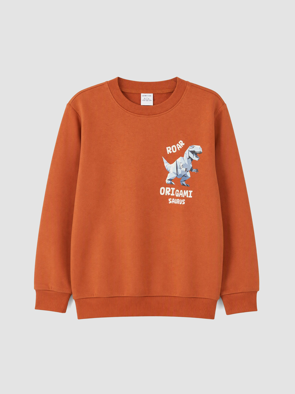 2 Pack Printed Boys' Thick Sweatshirt-1
