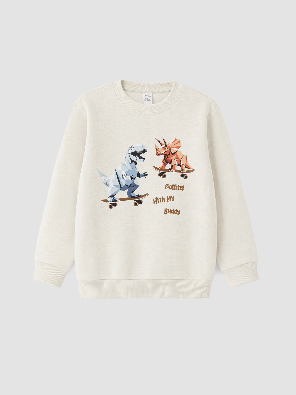 2 Pack Printed Boys' Thick Sweatshirt-5