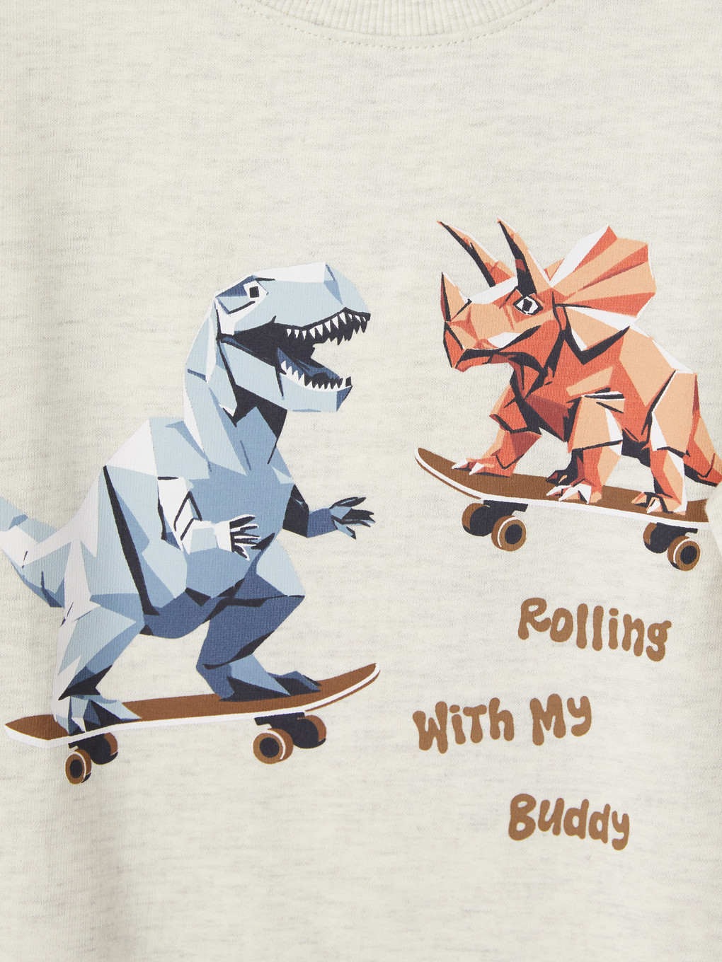 2 Pack Printed Boys' Thick Sweatshirt-7