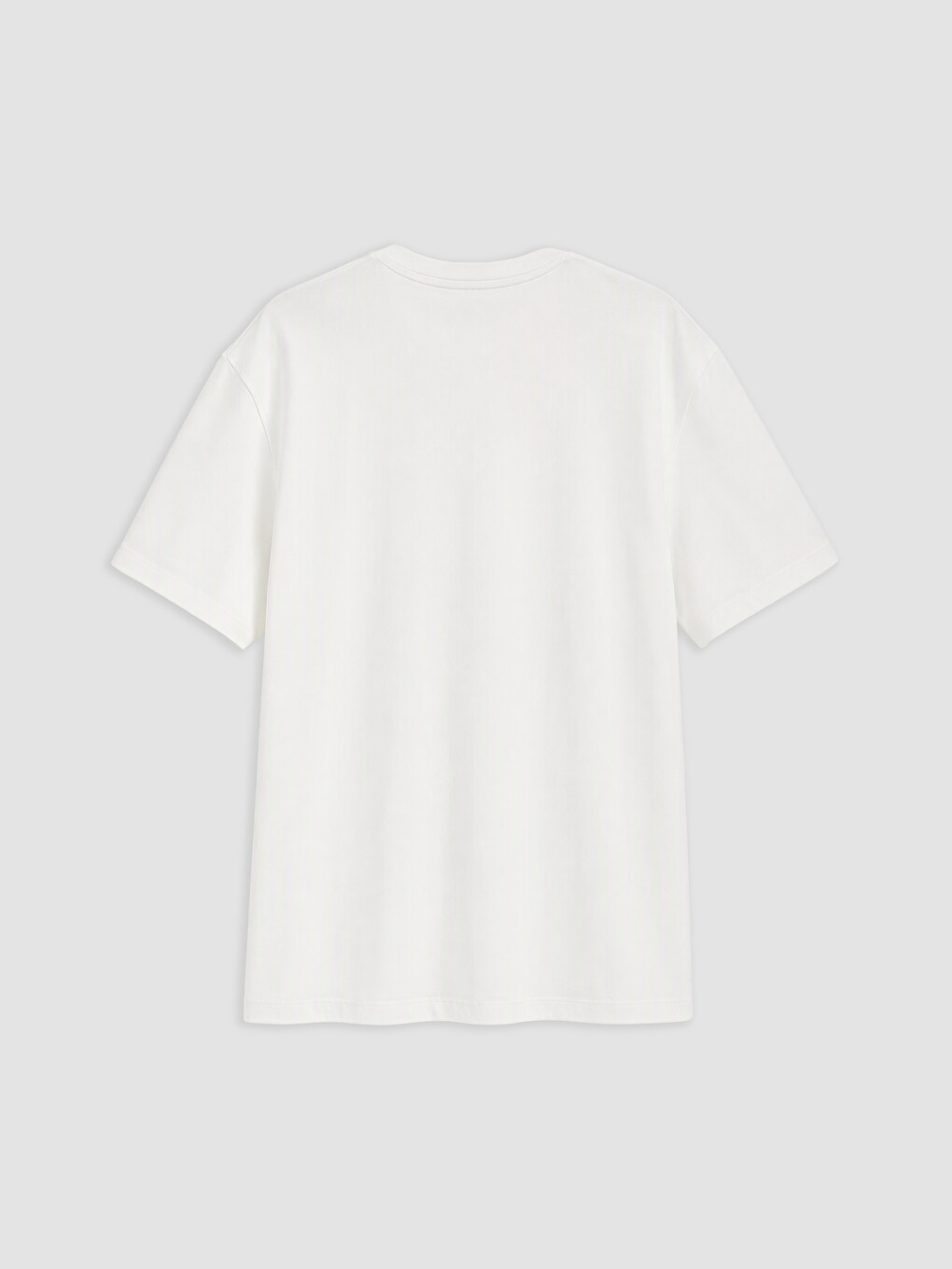 2 Pack Regular Fit Thick Fabric T-shirt /03-11