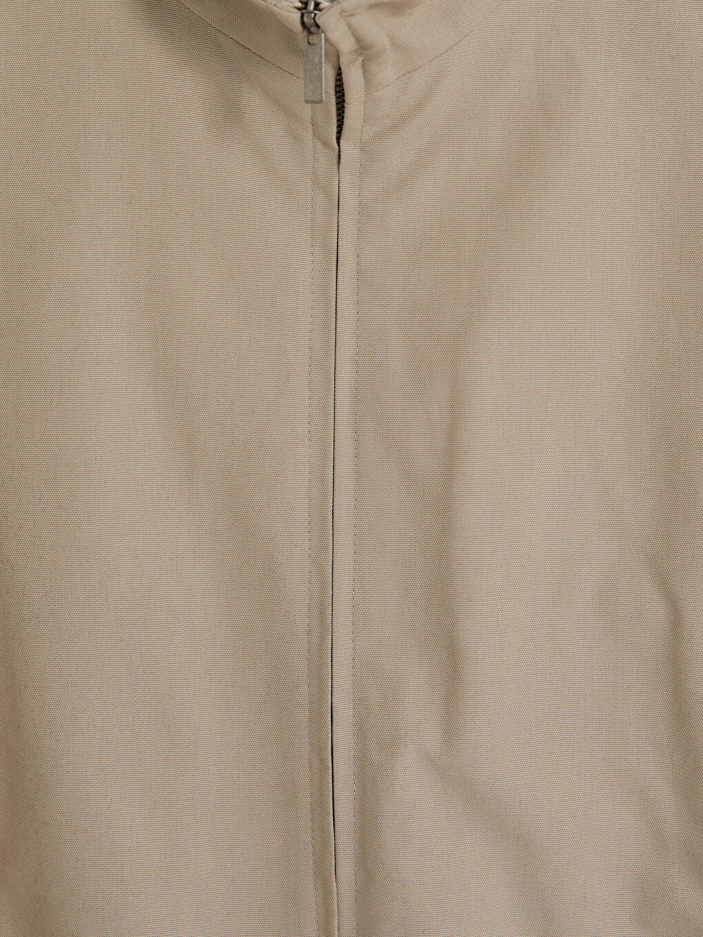 Bej Regular Fit Dik Yaka Erkek Mont-2