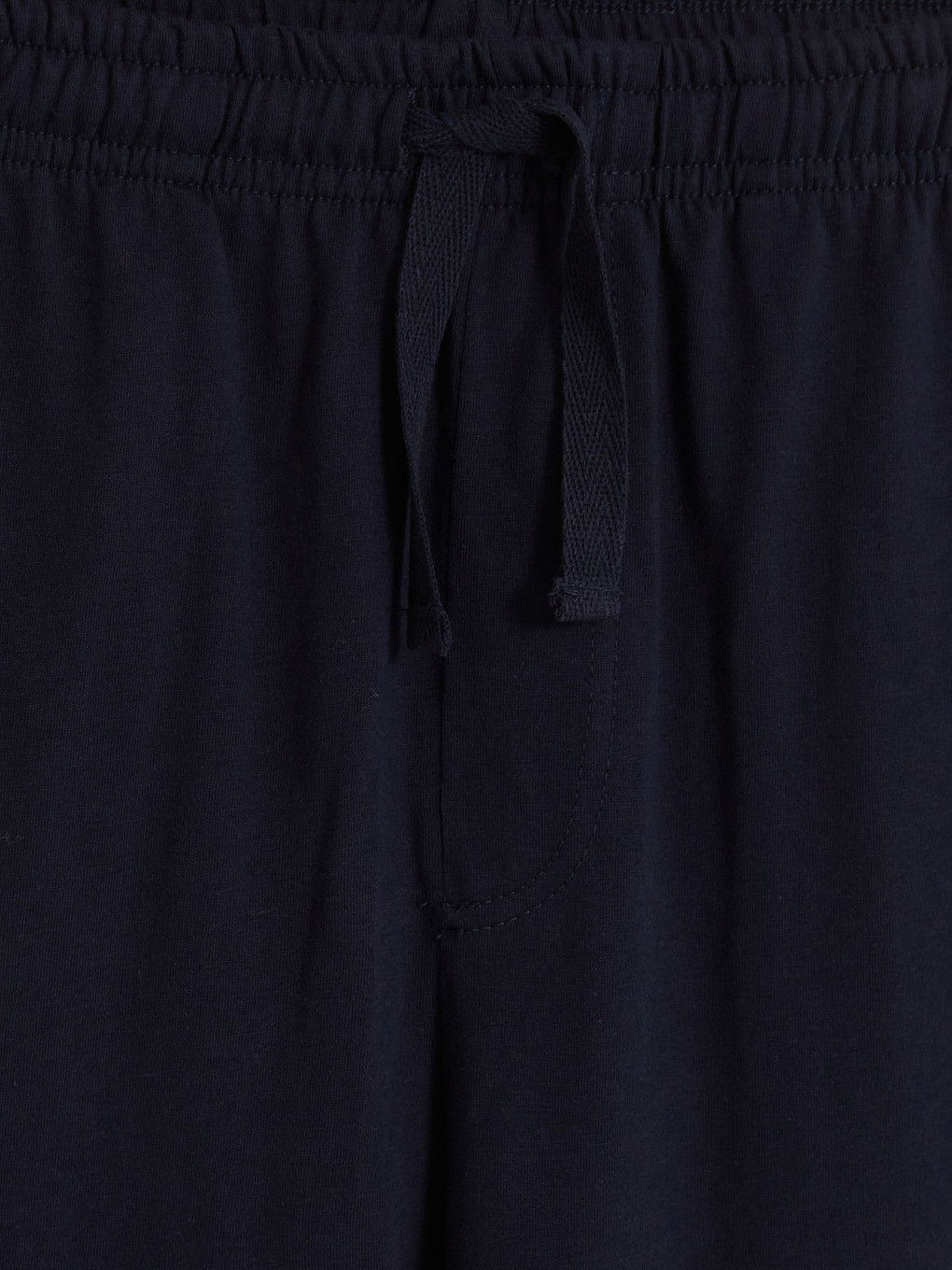 Lacivert Regular Fit Erkek Pijama Alt-2