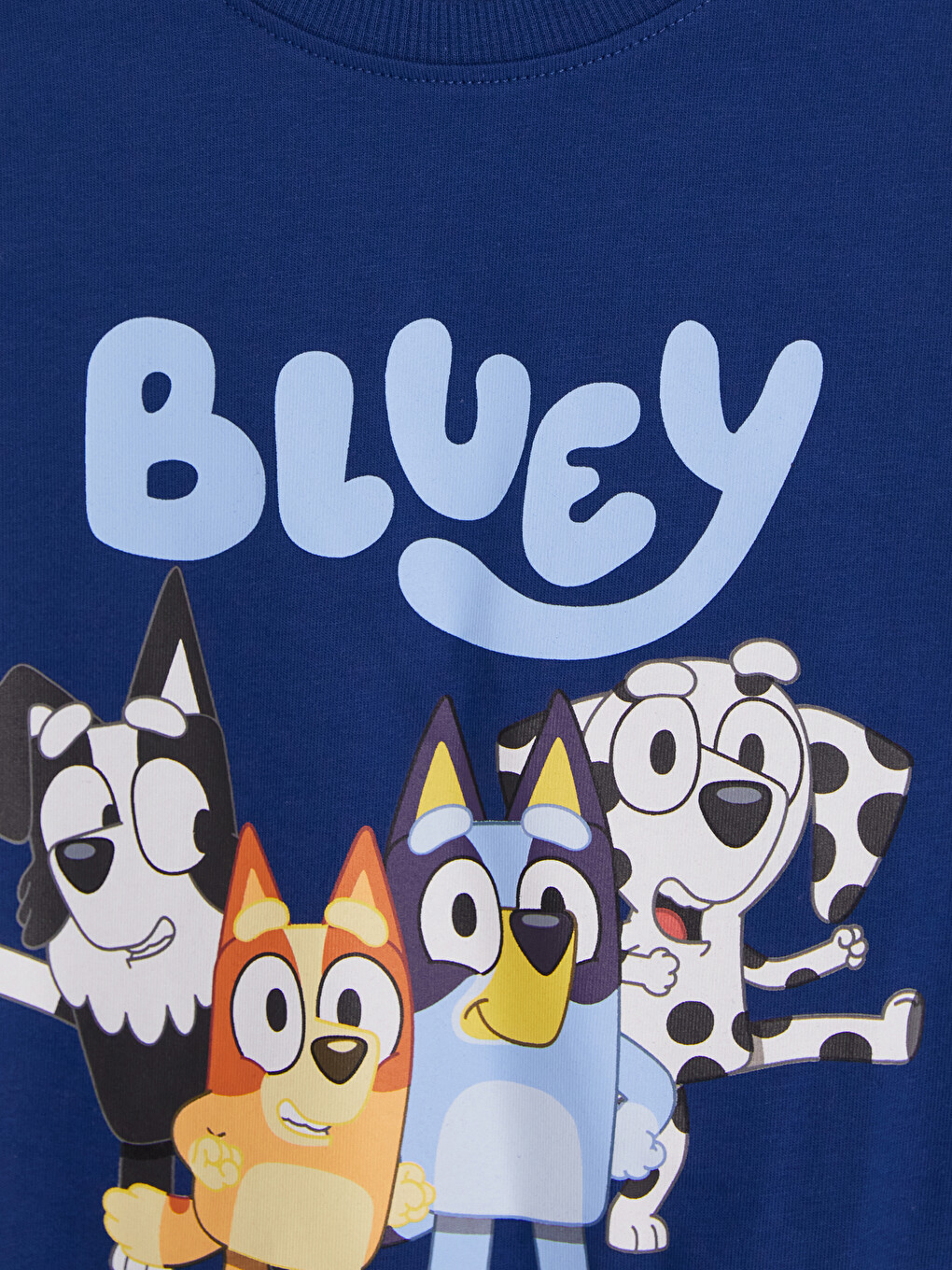 Bluzë Me Stampim Bluey Për Djem-1