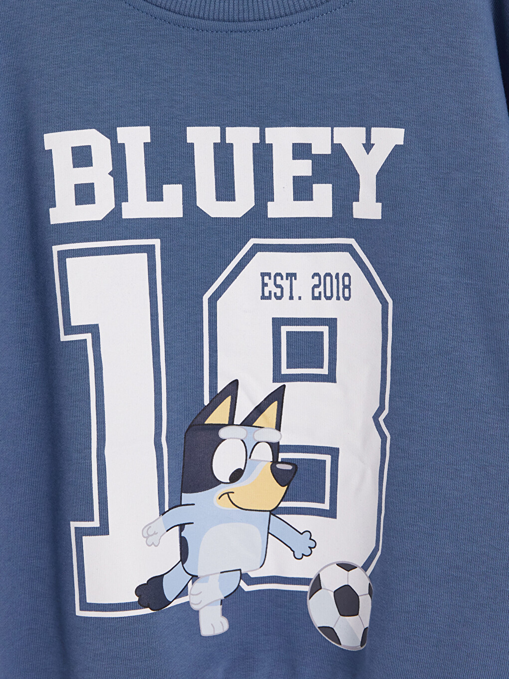 Mavi Bluey Baskılı Erkek Çocuk Sweatshirt-1
