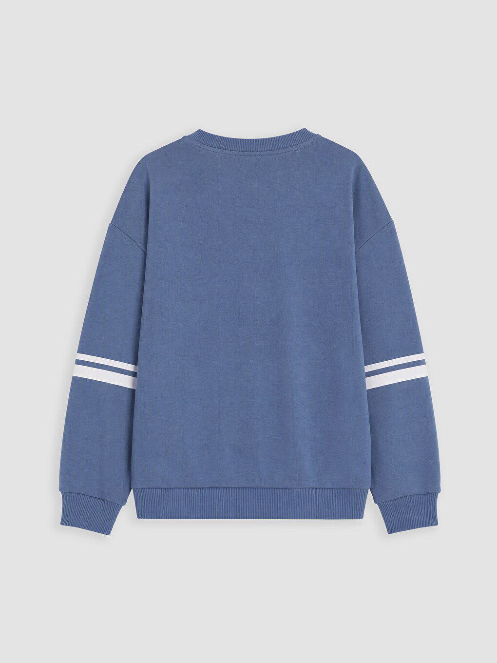 Mavi Bluey Baskılı Erkek Çocuk Sweatshirt-2