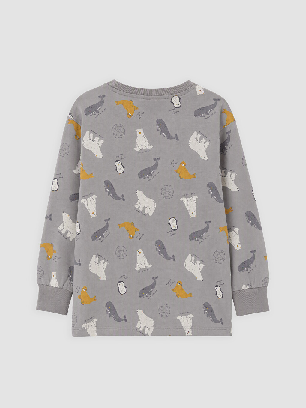 Boy Grey Pyjama Set-3