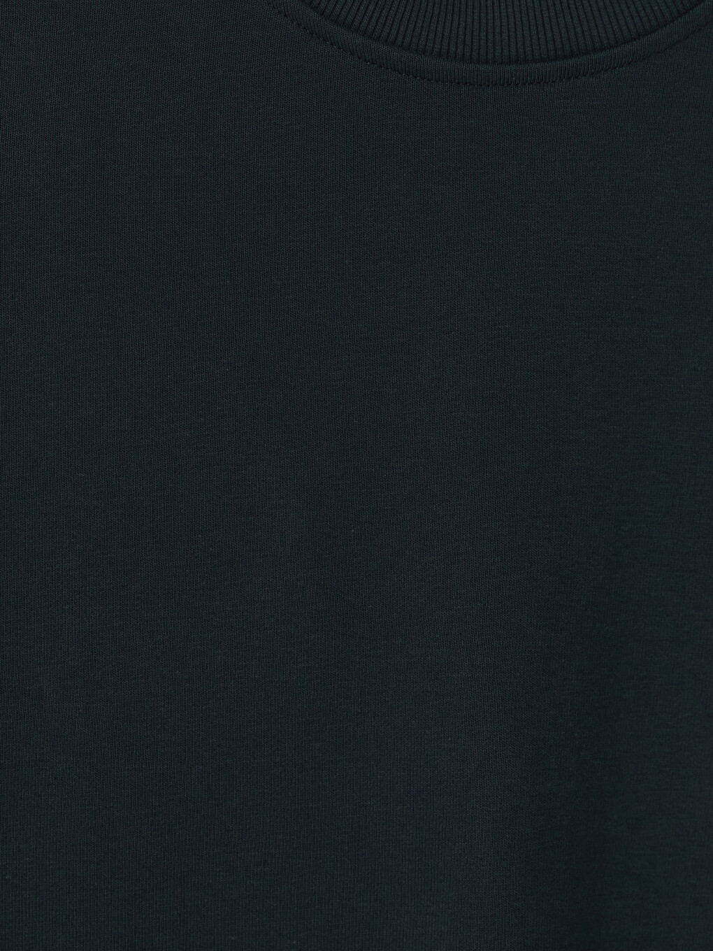 Yeşil Bisiklet Yaka Erkek Kalın Sweatshirt-1