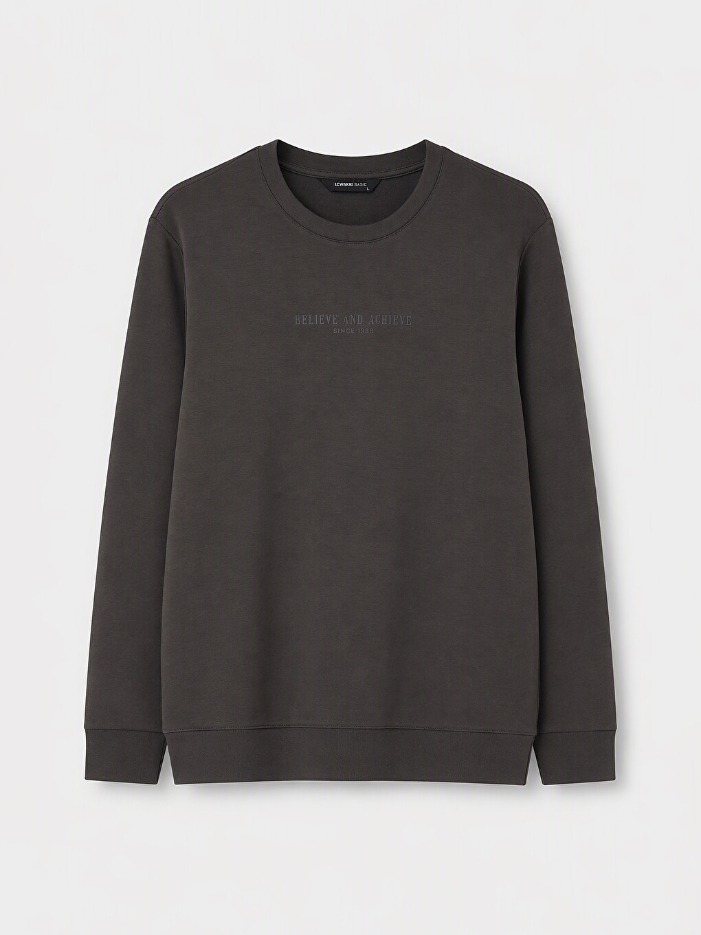 Crew Neck Printed Men's Sweatshirt-4
