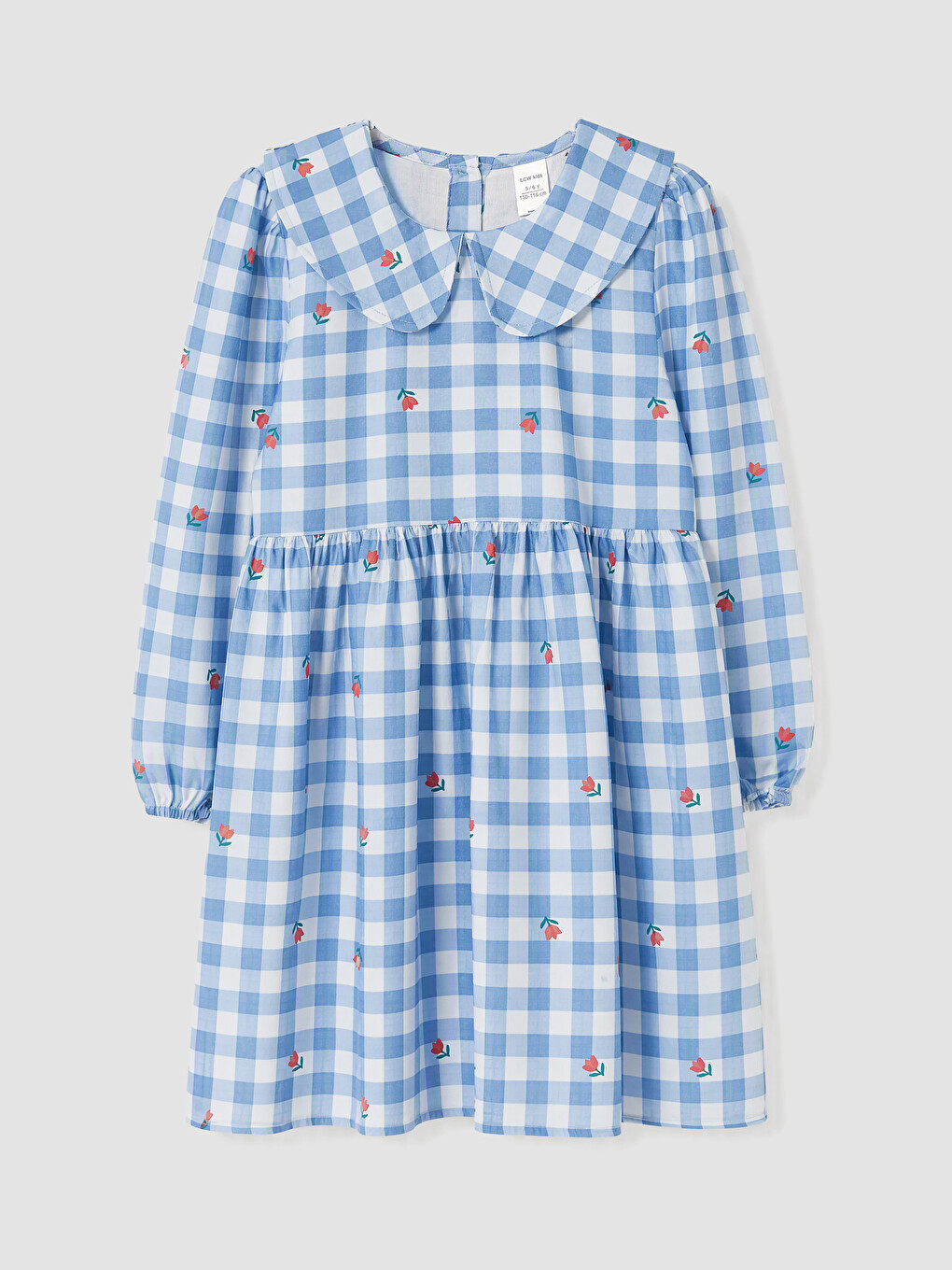 Girl Blue Dress