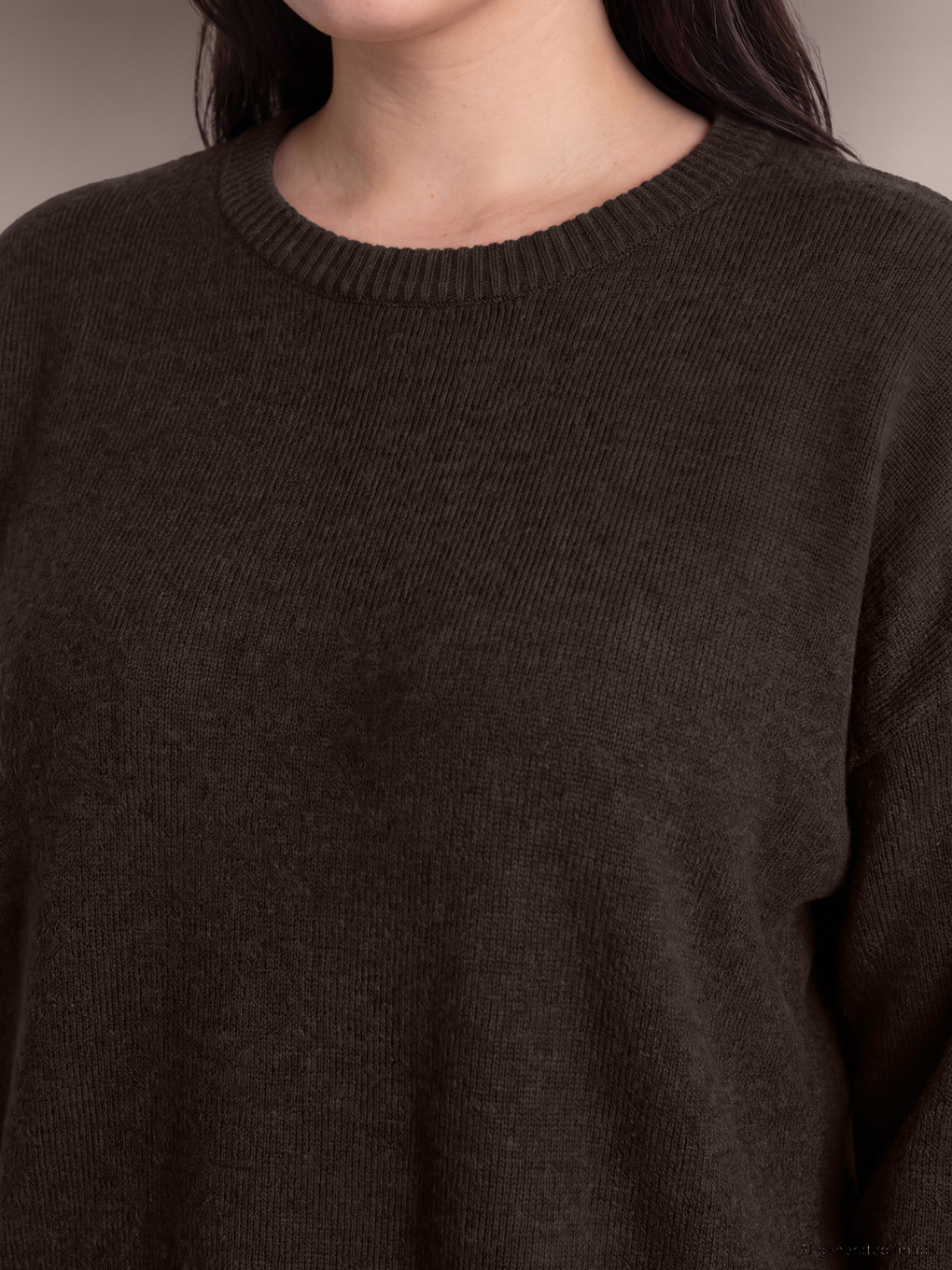 Plus Size Wool Blended Women's Sweater-1