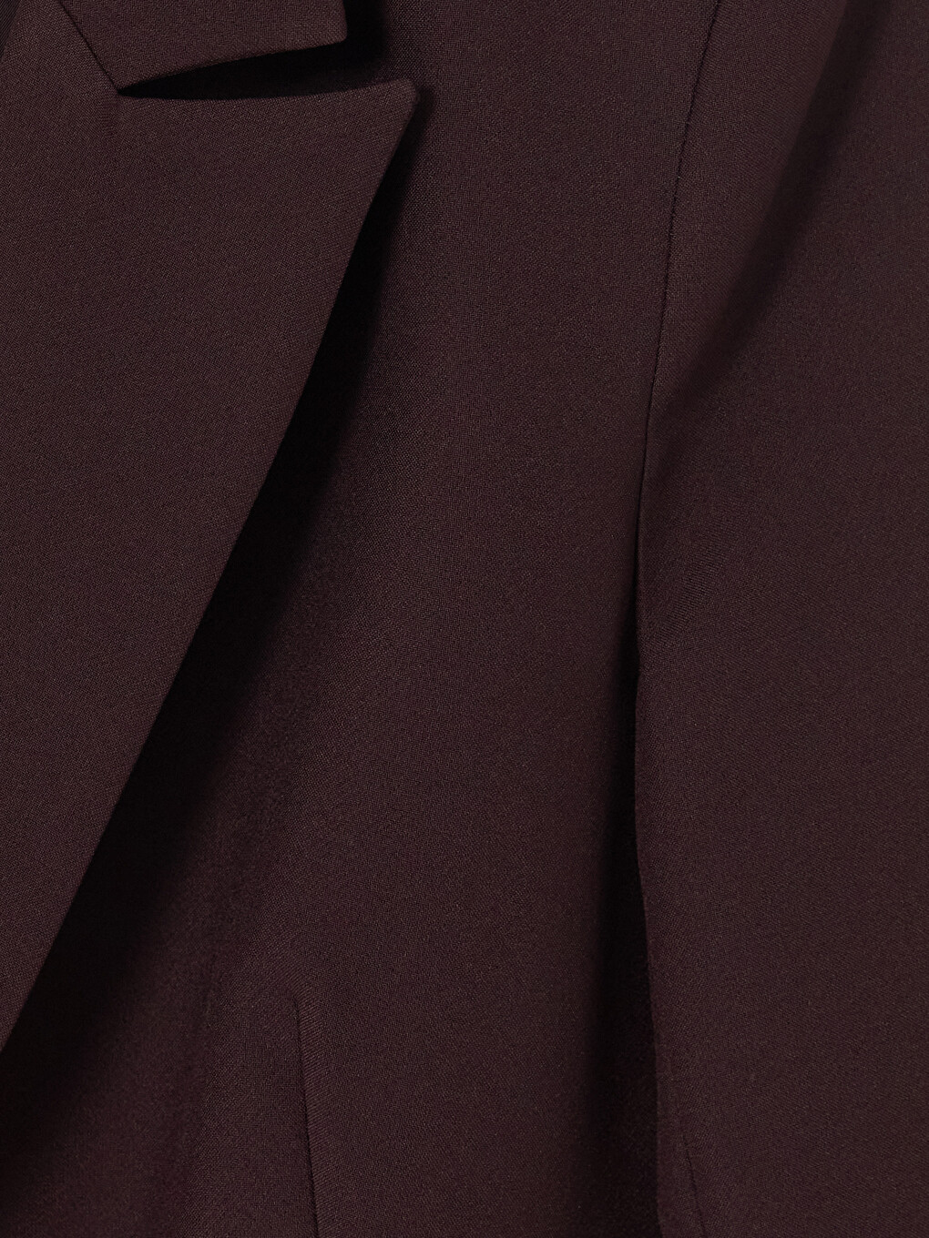 Mürdüm Kadın Blazer Ceket-1