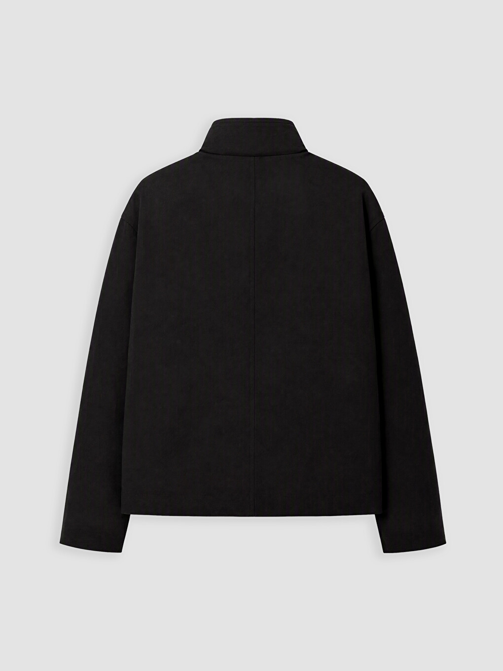Siyah Regular Fit Dik Yaka Erkek Ceket-2