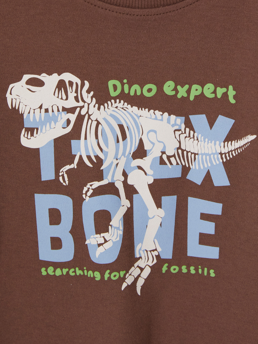 Boy Brown T-shirt-2