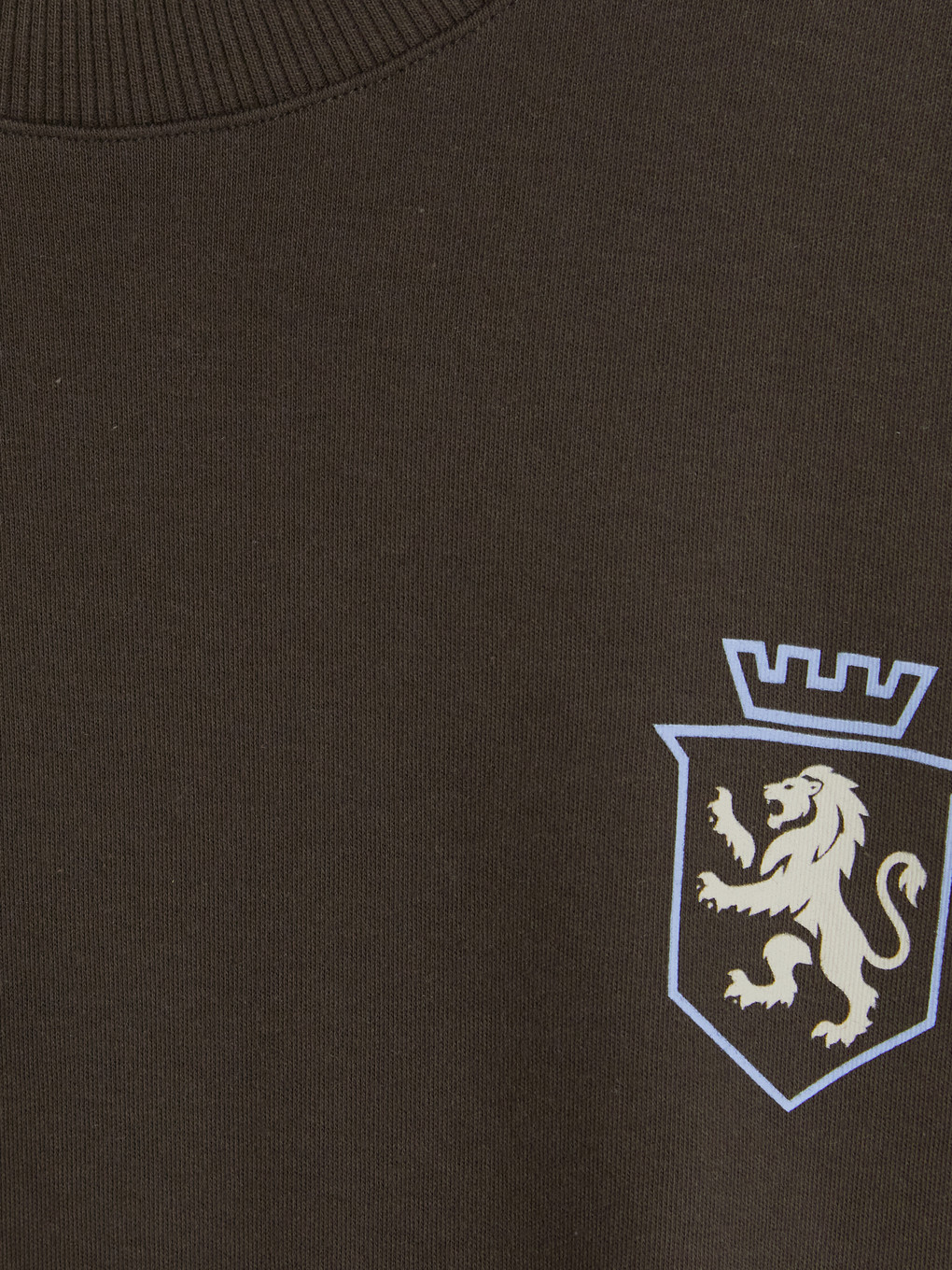 Boy Khaki T-shirt-1