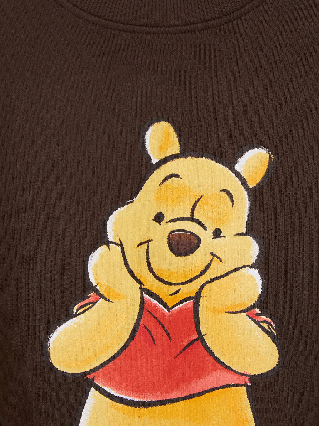 Kahverengi Winnie The Pooh Kalın Sweatshirt-1