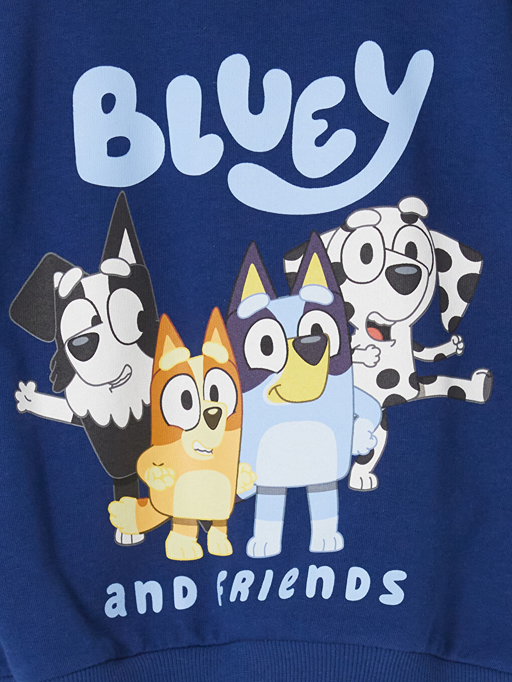 Bluey Printana Debela Dukserica Za Dječake-1