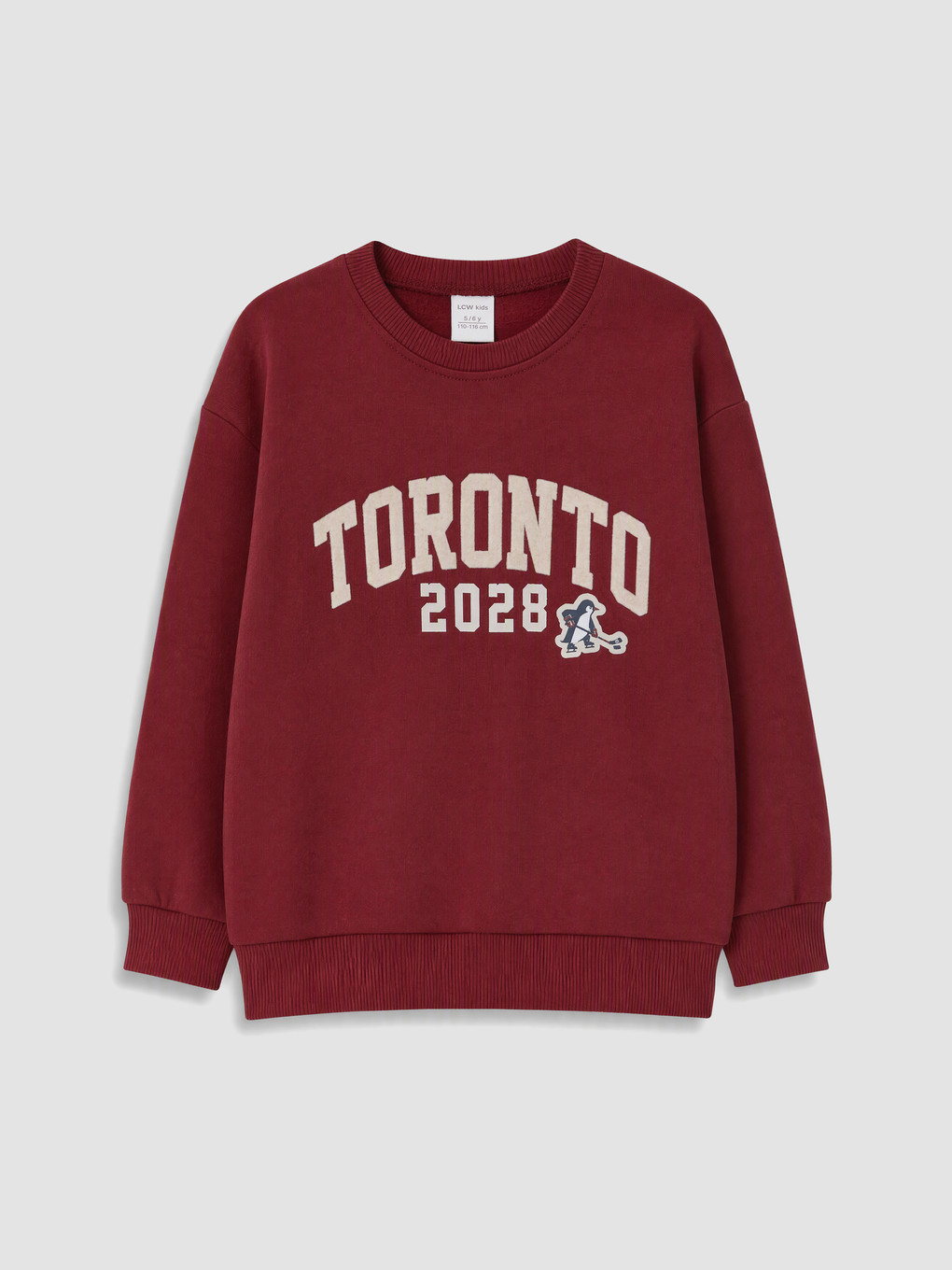 Printed Boys' Thick Sweatshirt