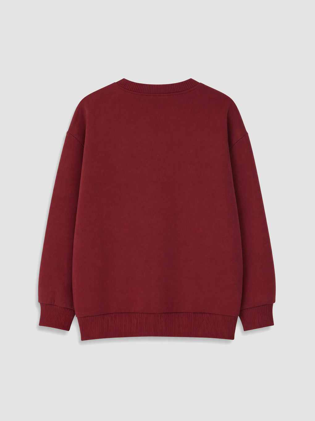 Printed Boys' Thick Sweatshirt-3