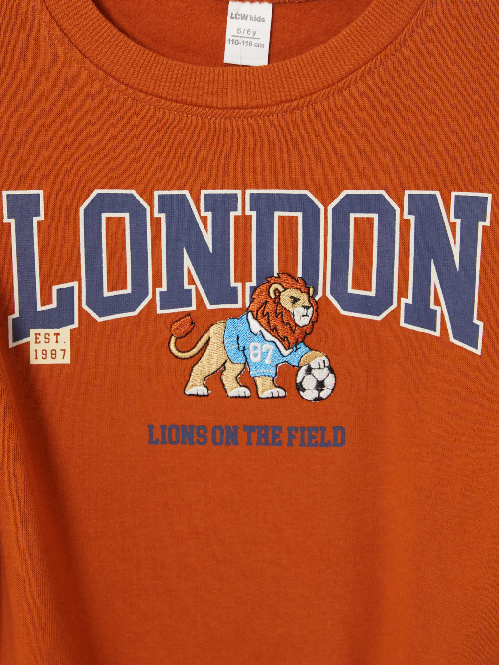 Boy Orange Sweatshirt-2