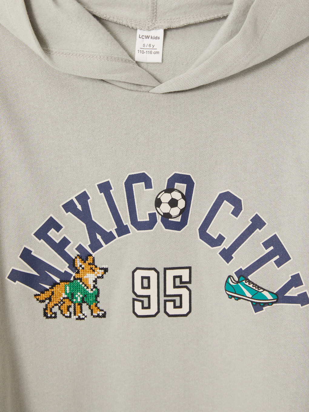 Boy Grey Sweatshirt-2