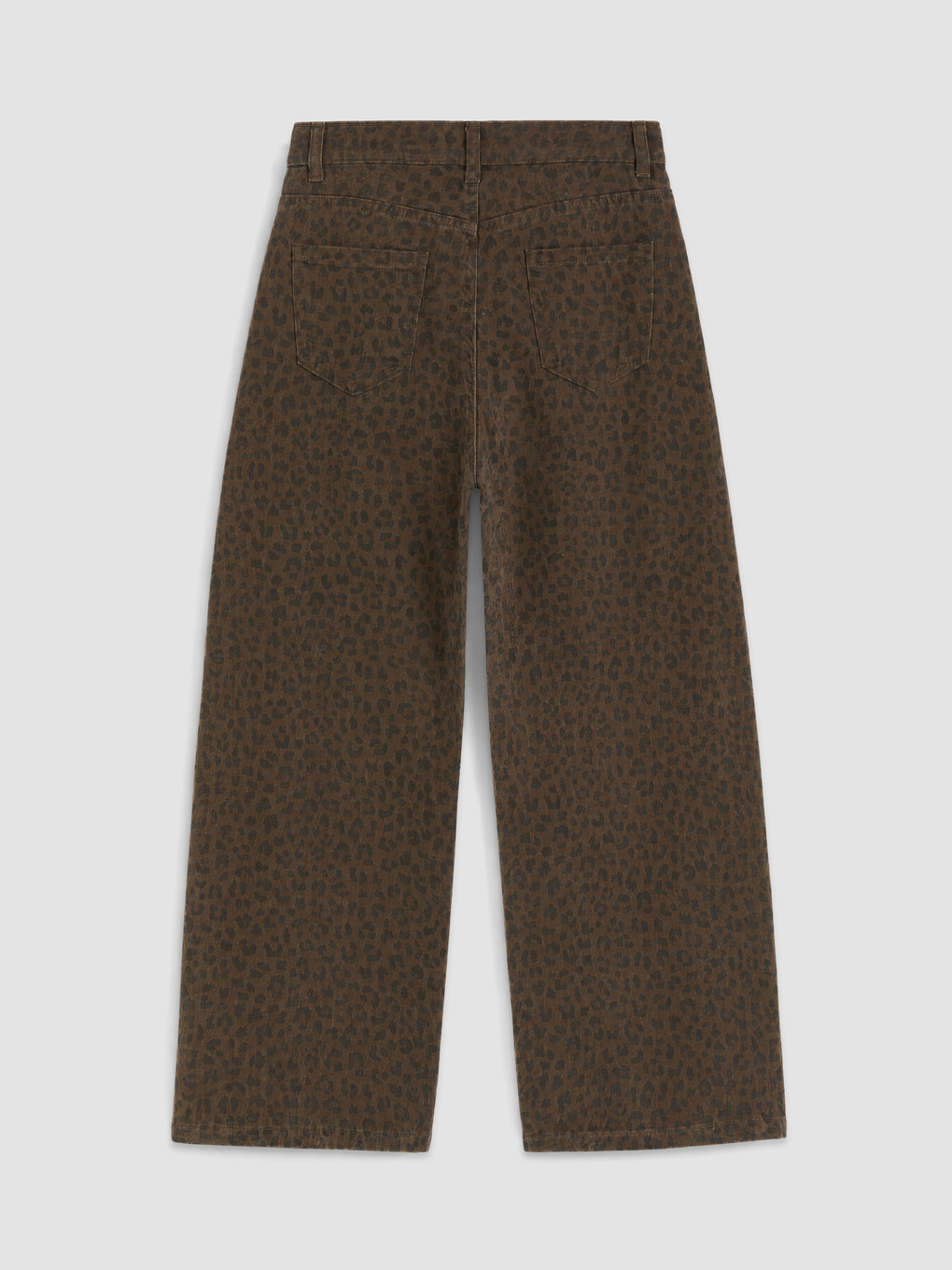 Barrel Fit Leopard Print Girls' Trousers-1