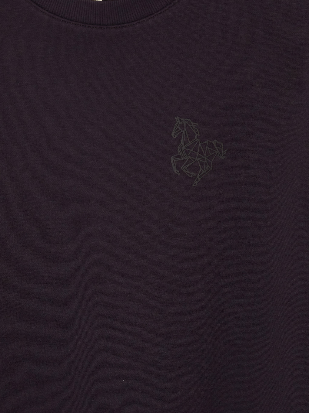 Mürdüm Bisiklet Yaka Nakışlı Sweatshirt-2