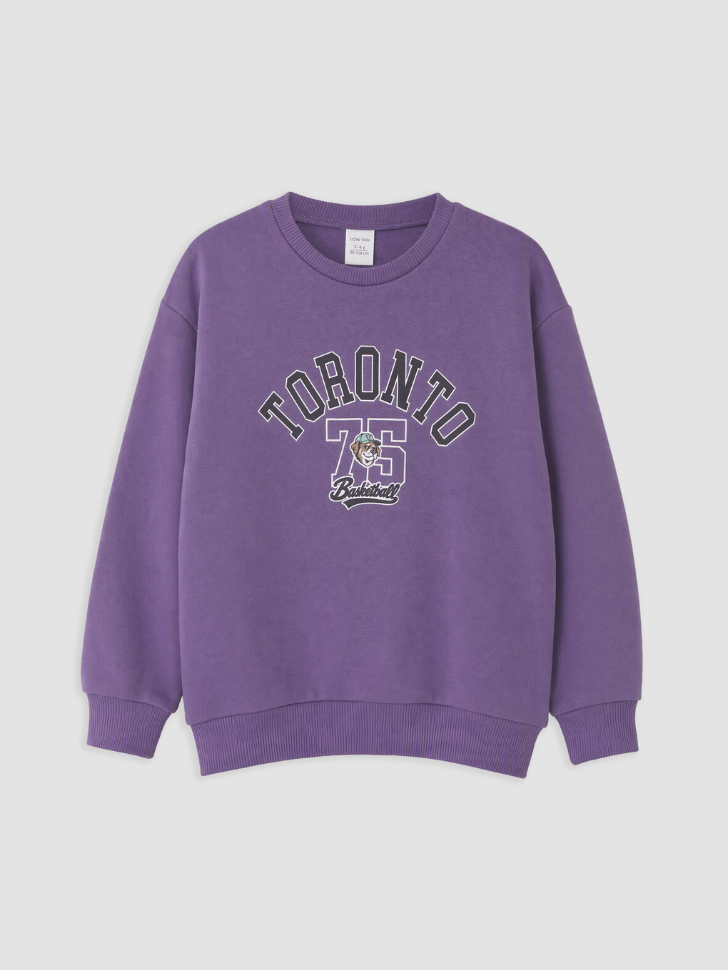 Printed Boys' Thick Sweatshirt