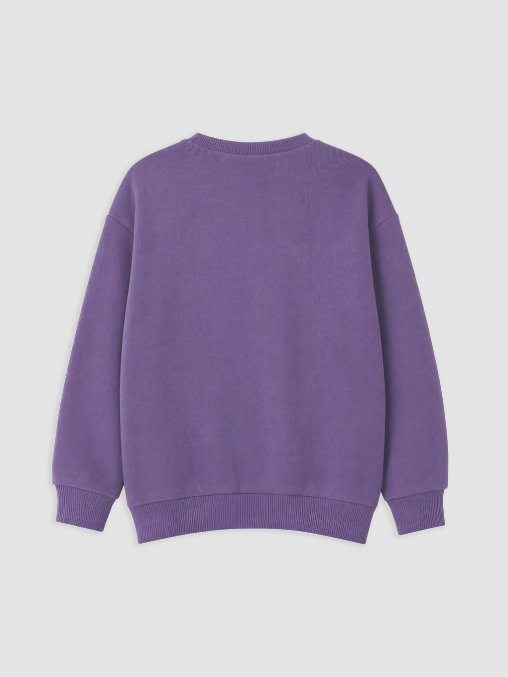Printed Boys' Thick Sweatshirt-1