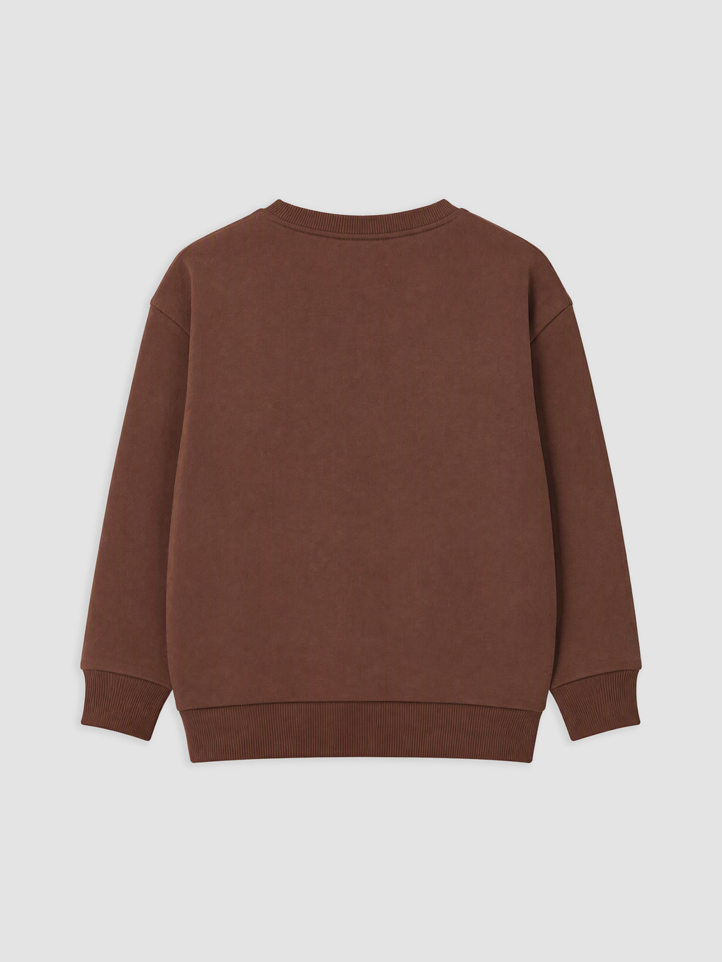 Printed Boys' Thick Sweatshirt-1