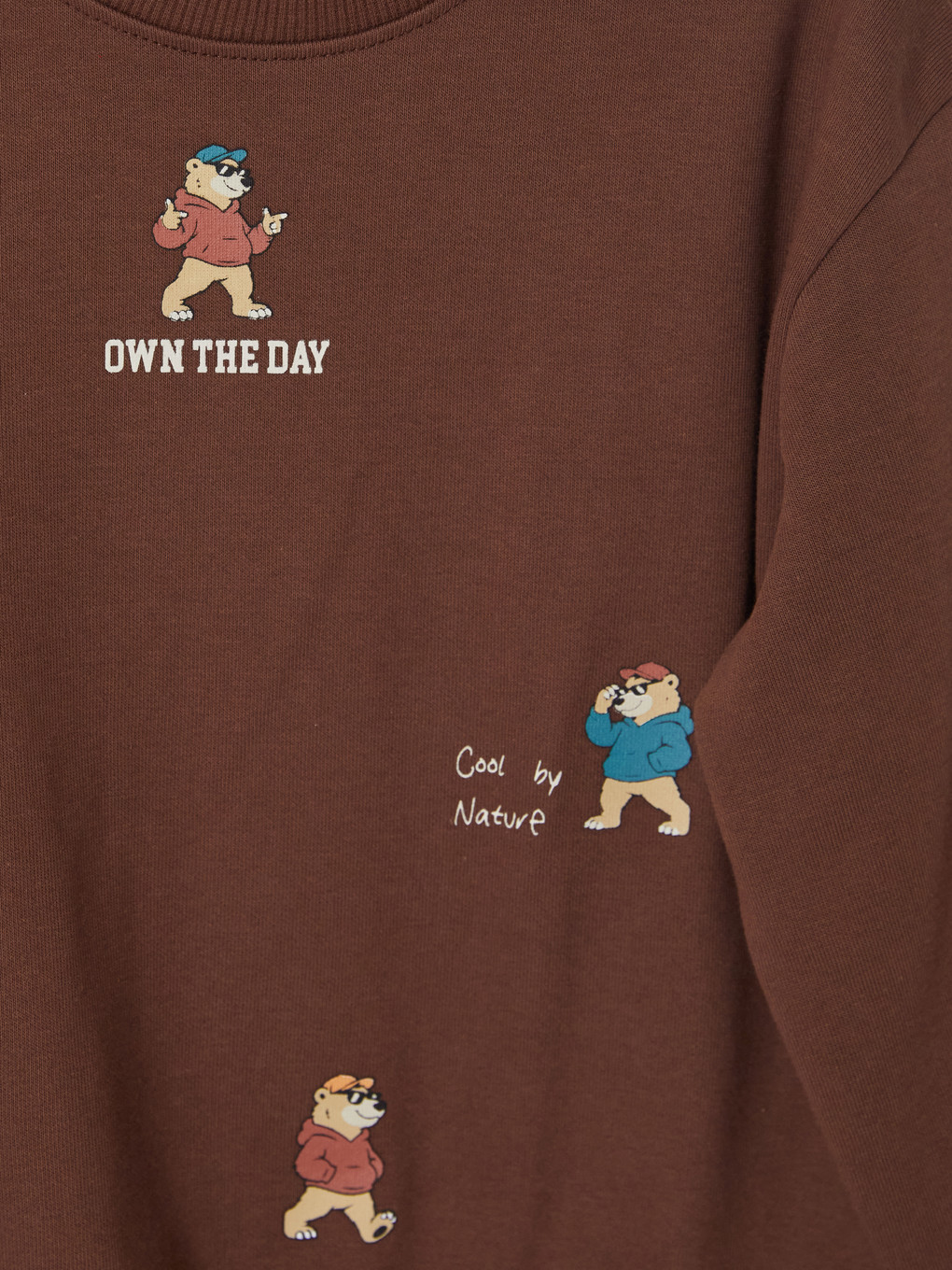 Printed Boys' Thick Sweatshirt-2