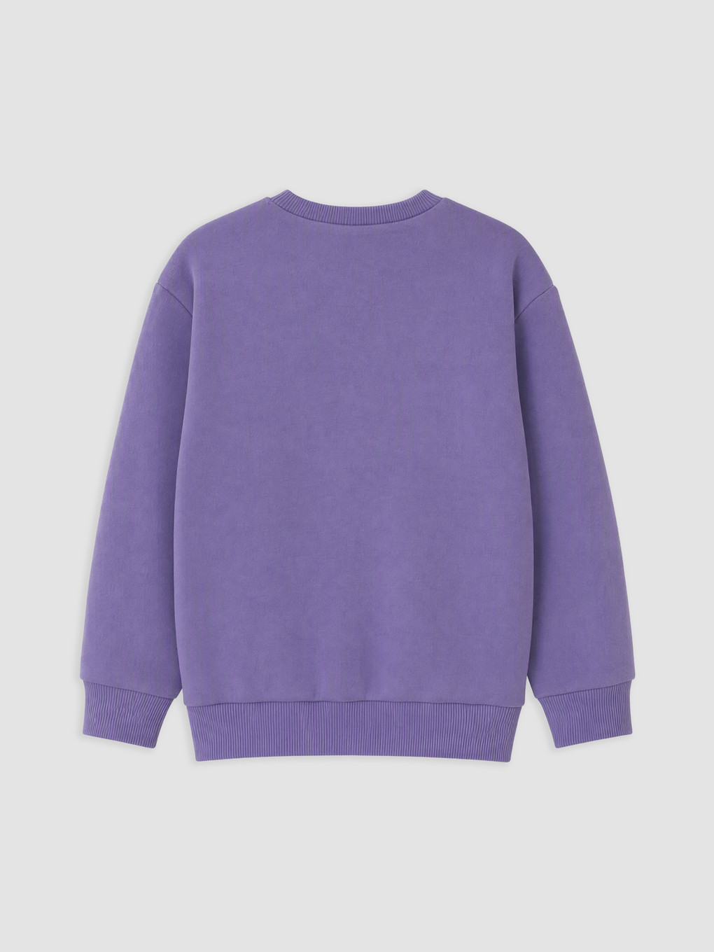 Printed Boys' Thick Sweatshirt-1