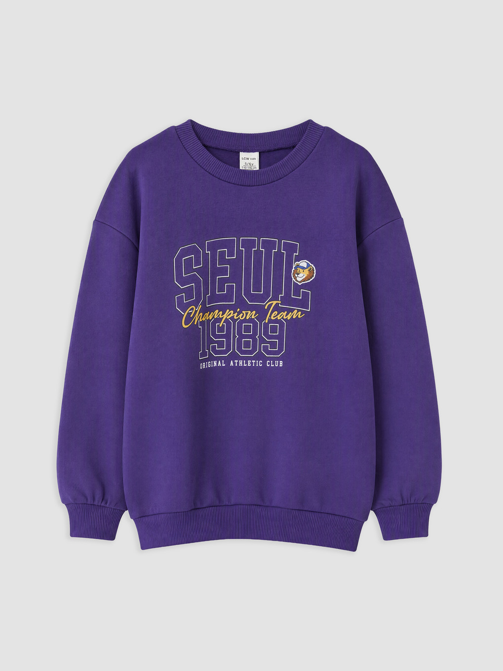 Printed Boys' Thick Sweatshirt