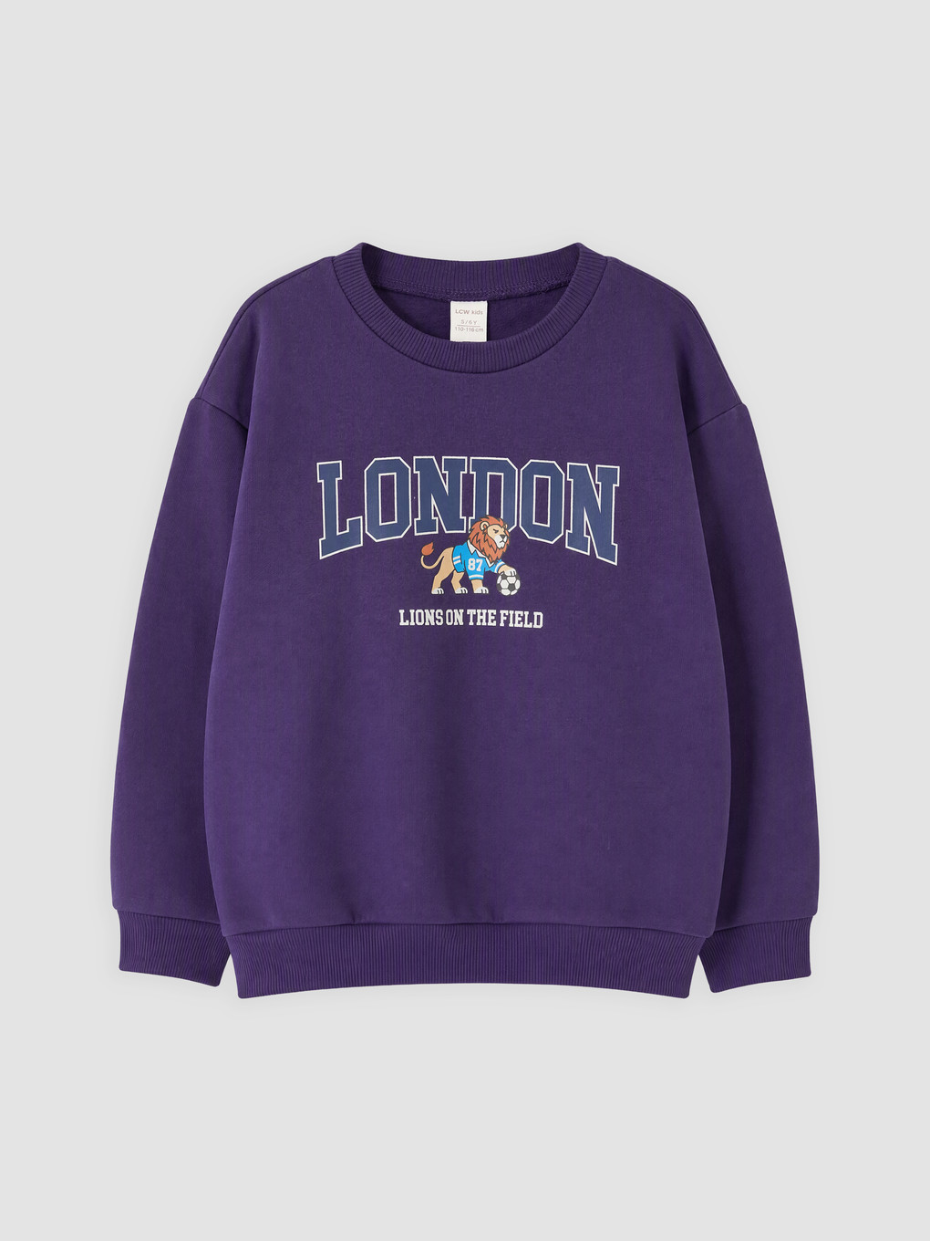 Printed Boys' Thick Sweatshirt