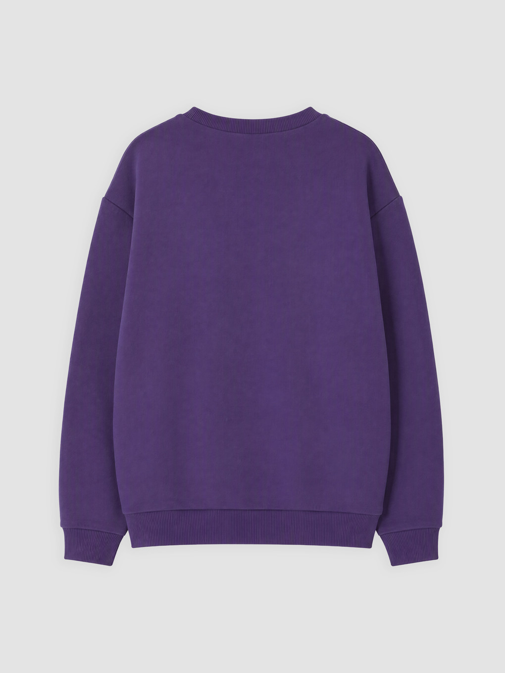 Printed Boys' Thick Sweatshirt-1