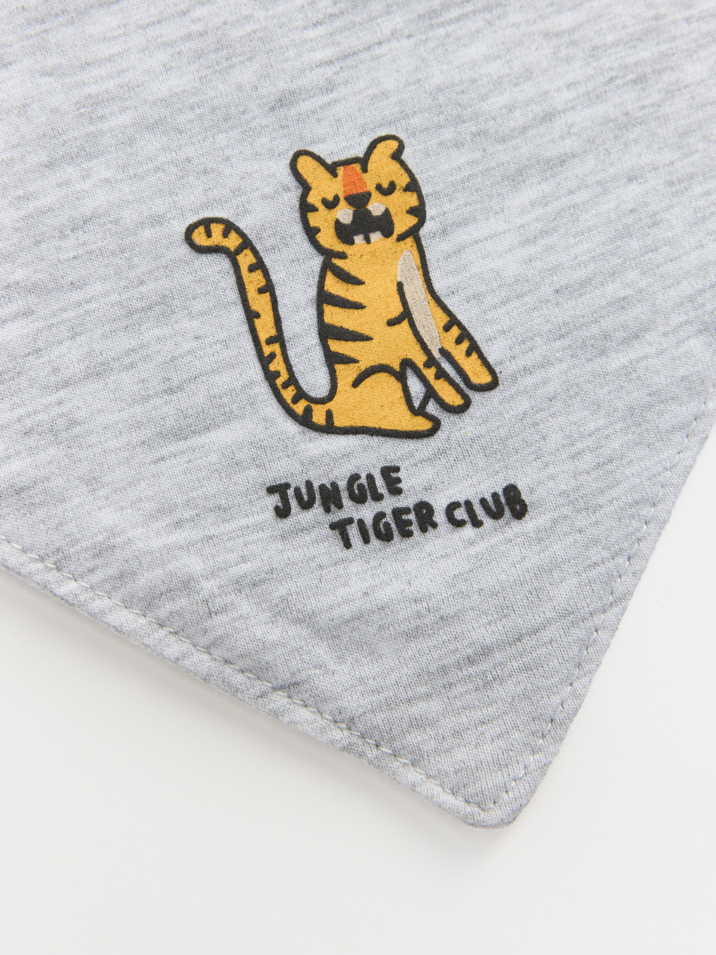 Printed Boys' Baby Bib 2 Pack-6