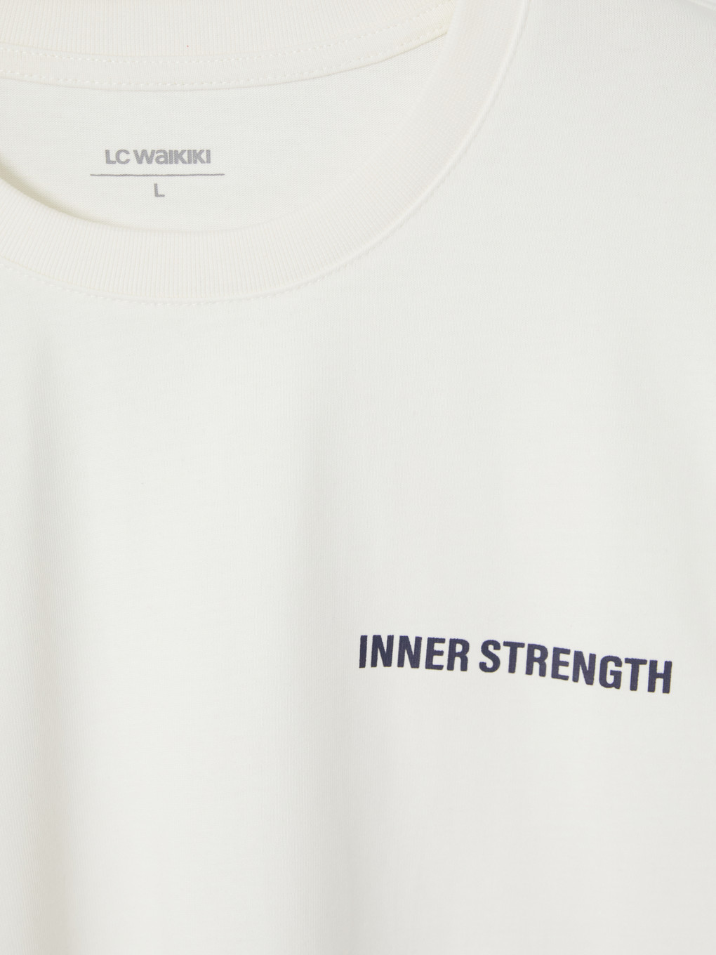 Crew Neck Printed Men's Sweatshirt-2