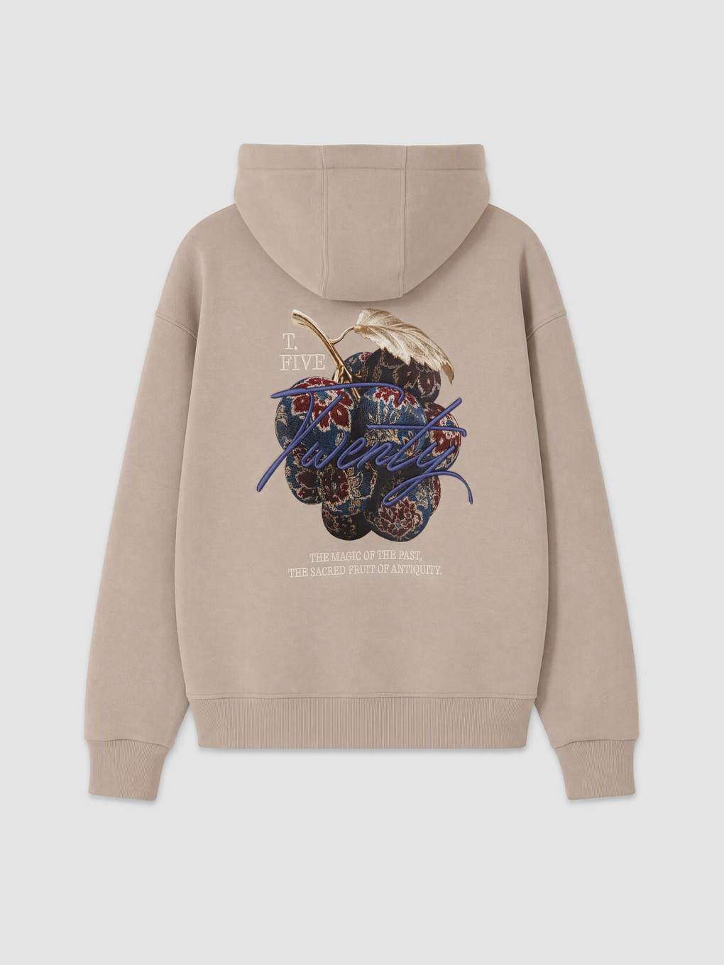 Bej Yazı Nakışlı Erkek Hoodie-5
