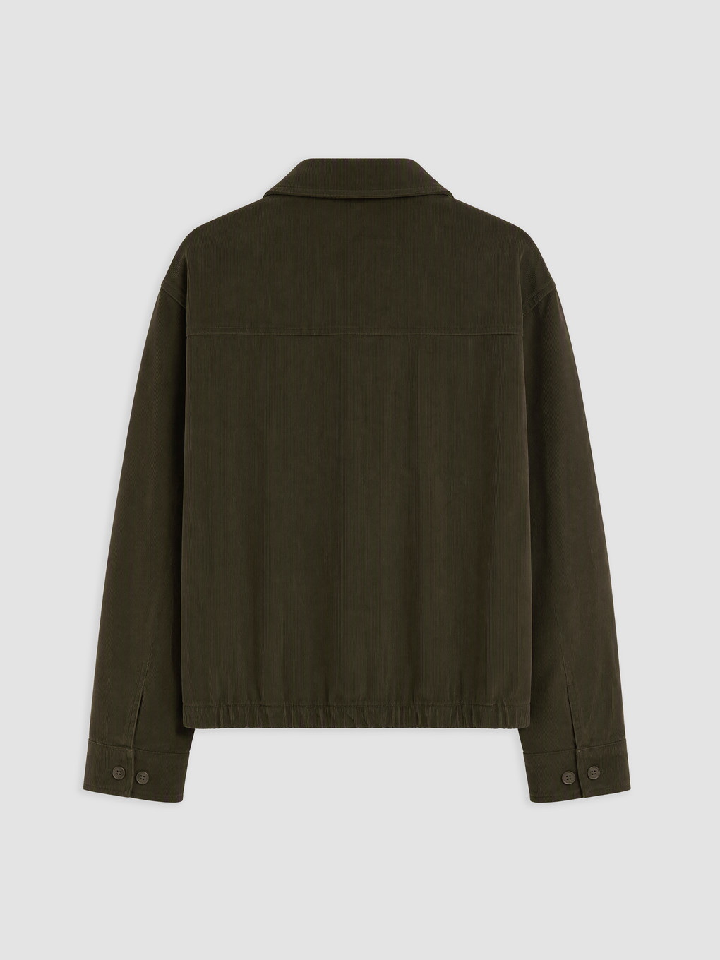 Haki Regular Fit Erkek Ceket-1